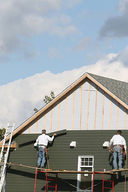 Best Vinyl Siding Installation  in Holloman Af, NM